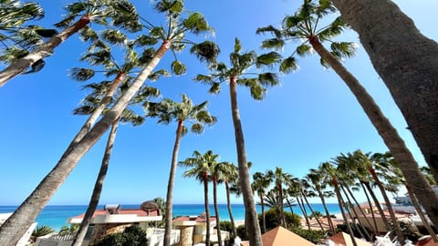 Natural landscape, Sea view