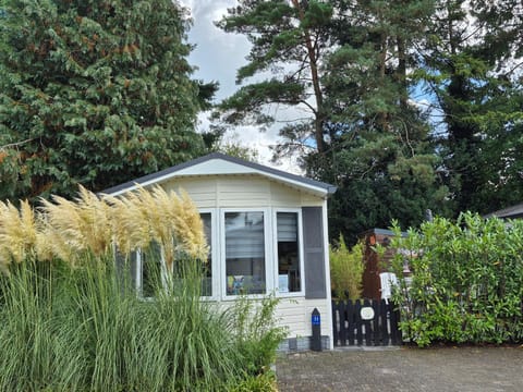 Property building, Garden, Garden view