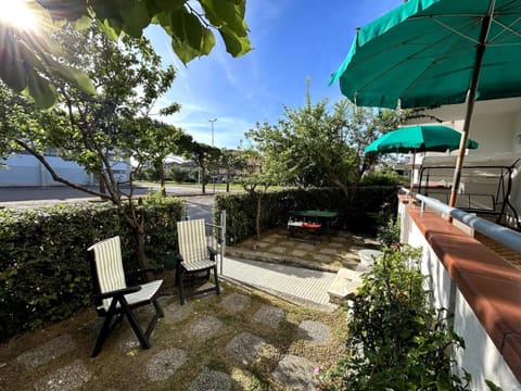 Garden, Garden, Garden view