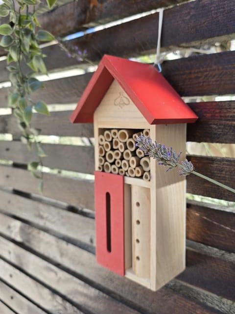 Olea Premium Rooms Apartment in Zadar