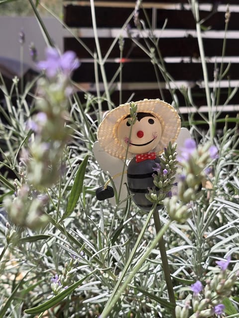 Olea Premium Rooms Apartment in Zadar