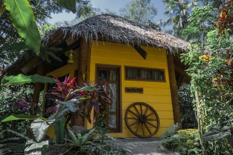 Property building, Garden, Garden view