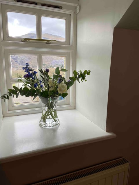 Snowdon Cottage Llanberis Tucked Away In The Mountains Of Snowdonia House in Llanberis