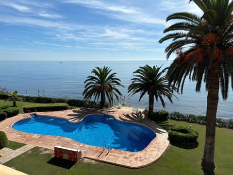 Garden, Garden view, Swimming pool
