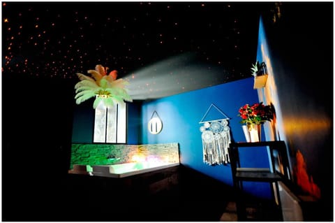 La Suite 7ième ciel étoilé, SPA XXL, Lit sous les étoiles, 5 min centre ville Apartment in Bourgoin-Jallieu