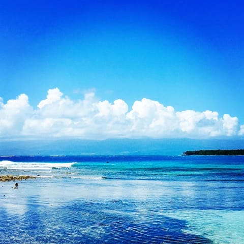 Studio at Le Gosier, close to beaches, and spots Apartment in Le Gosier