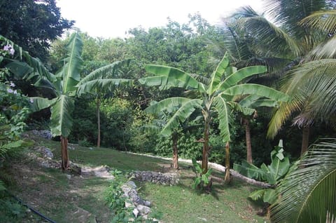 Studio at Le Gosier, close to beaches, and spots Apartment in Le Gosier