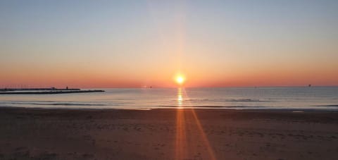 Nearby landmark, Beach, Sunrise