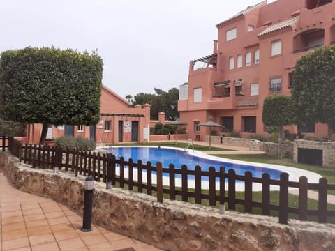 Garden, Pool view, Swimming pool