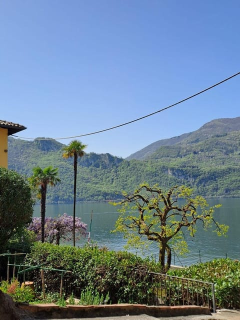 Lake view