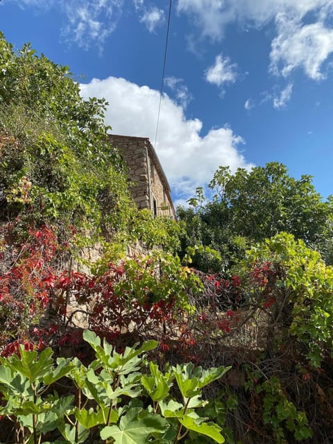 OTA T2 proche rivières et plages, randonnées Apartment in Ota