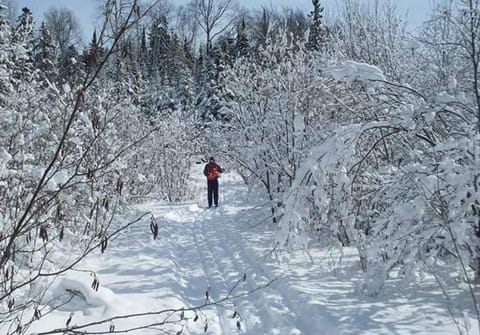Thessalon Farm House -Space Share Apartment in Michigan