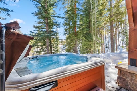 Westridge Ski In Ski Out with Private Hot Tub House in Breckenridge