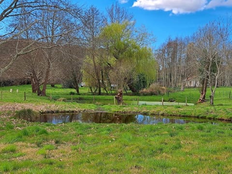 Spring, Day, Natural landscape, Garden, Garden view, Lake view