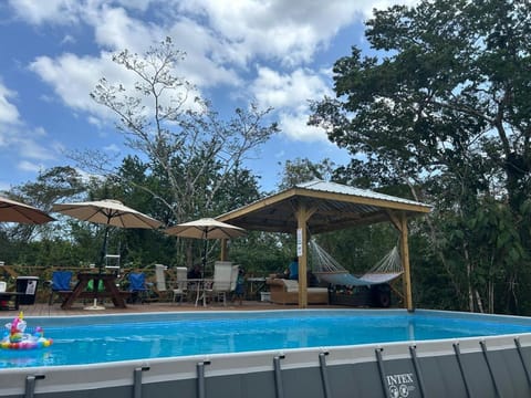 Day, Pool view, sunbed