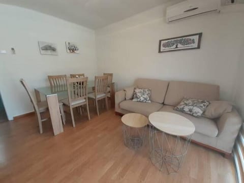 Living room, Dining area, air conditioner