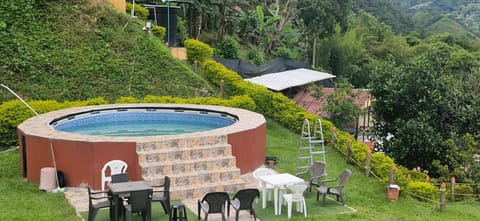 Garden, Pool view, Swimming pool