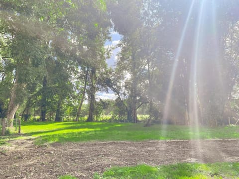 Le Moulin de Ronsard : Demeure spacieuse, jardin et vue sur le Loir - 8 personnes - FR-1-491-459 House in Centre-Val de Loire