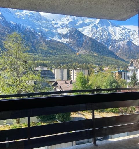 Appartement Chamonix Apartment in Chamonix