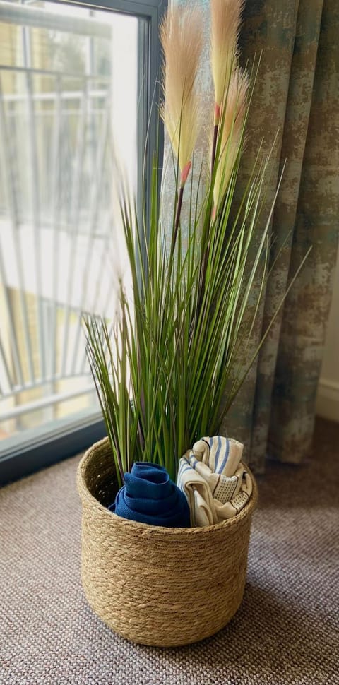 Spacious Millpark Apartment Apartment in Donegal City