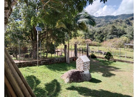 Natural landscape, Garden view, Mountain view