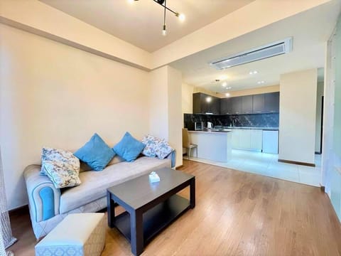 Kitchen or kitchenette, Living room, Seating area, air conditioner