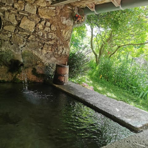 Spring, Summer, Garden, Garden view