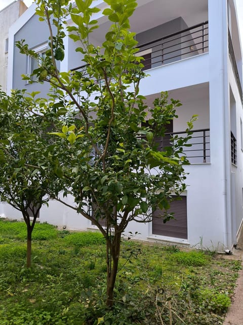 Polychrono Waves House in Halkidiki