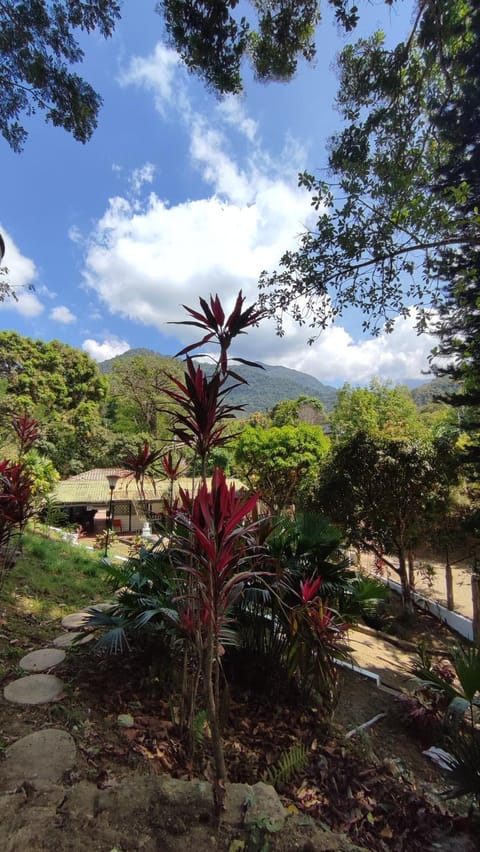 Natural landscape, Garden, Garden view