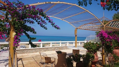 Natural landscape, Beach, On site