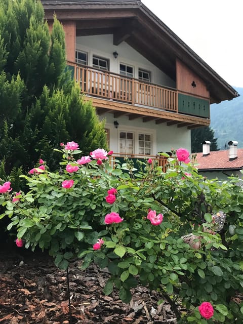Facade/entrance, Garden view