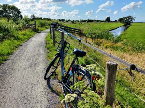 Cycling, Area and facilities