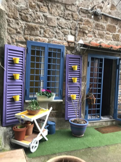 Patio, Day, Garden, Garden view