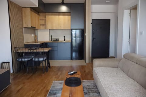 Kitchen or kitchenette, Living room, Seating area, Dining area, oven, stove