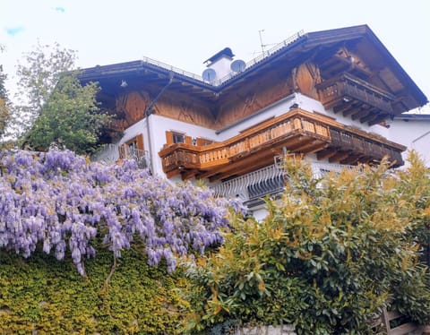 Property building, Spring