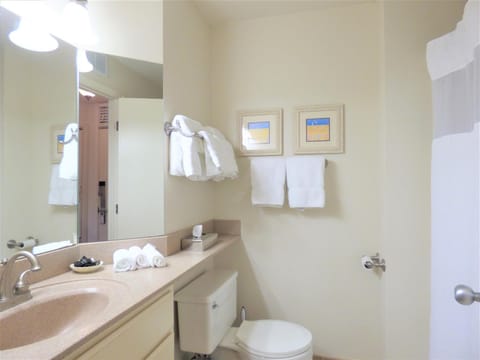 Beautiful 2 Bedroom Lakeside Condo at The Shores 5677 House in Michigan