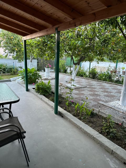 Patio, Spring, Garden, Garden view, Inner courtyard view