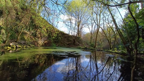 Natural landscape, View (from property/room)