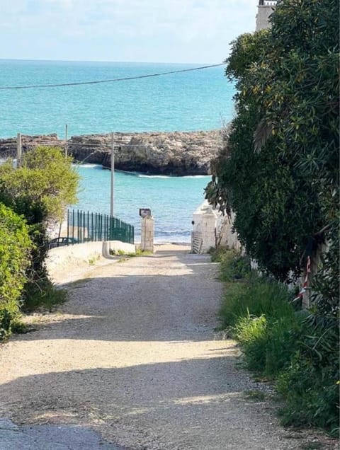 Nearby landmark, Natural landscape, Beach