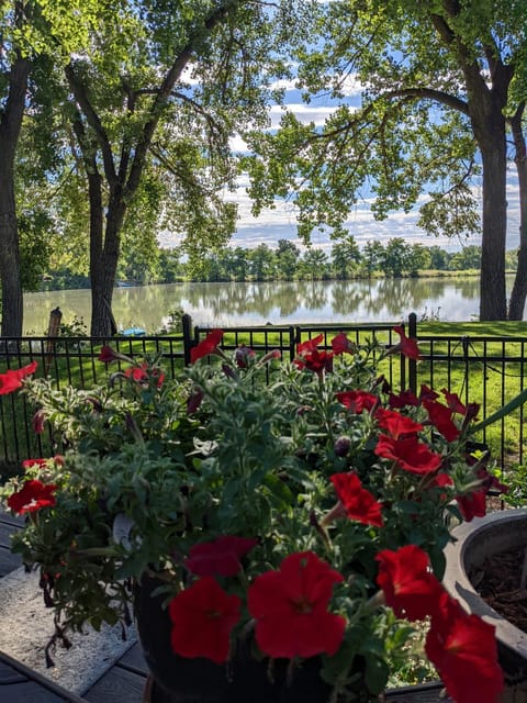 Summer, Golfcourse, Golfcourse, Garden view, Lake view, Lake view