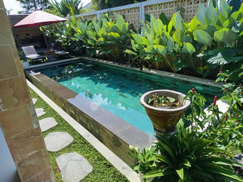 Spring, Day, Garden, Garden view, Pool view, Swimming pool, Swimming pool
