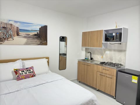 Bed, TV and multimedia, Kitchen or kitchenette, Photo of the whole room, Bedroom, minibar, oven, stove