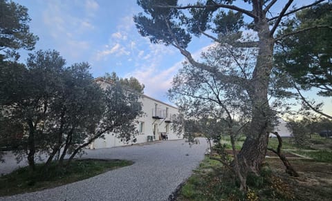 Property building, Natural landscape