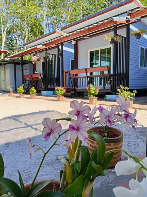 Property building, Patio, Garden, Garden view