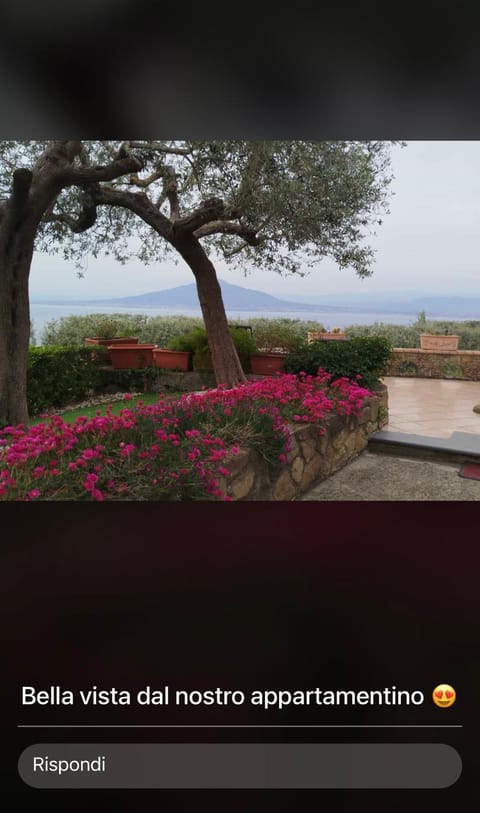 A Sorrento B&B,relaxing location with Seaview Bed and Breakfast in Priora