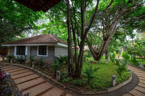Property building, Day, Natural landscape