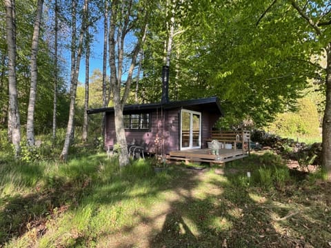 Property building, Spring, Natural landscape
