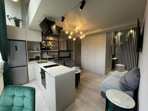 Kitchen or kitchenette, Living room, Seating area, Dining area