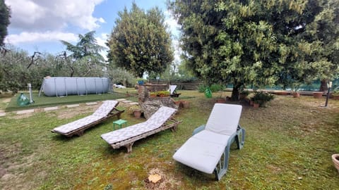 Garden, Garden view, sunbed