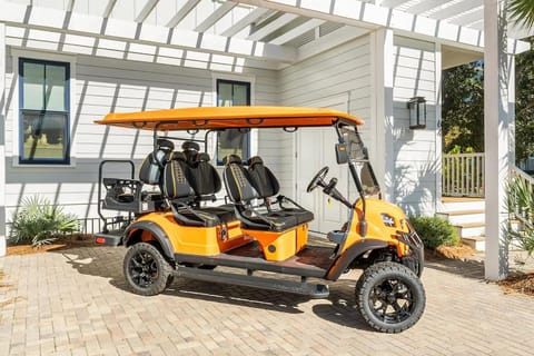 Pineapple & Palms House in South Walton County